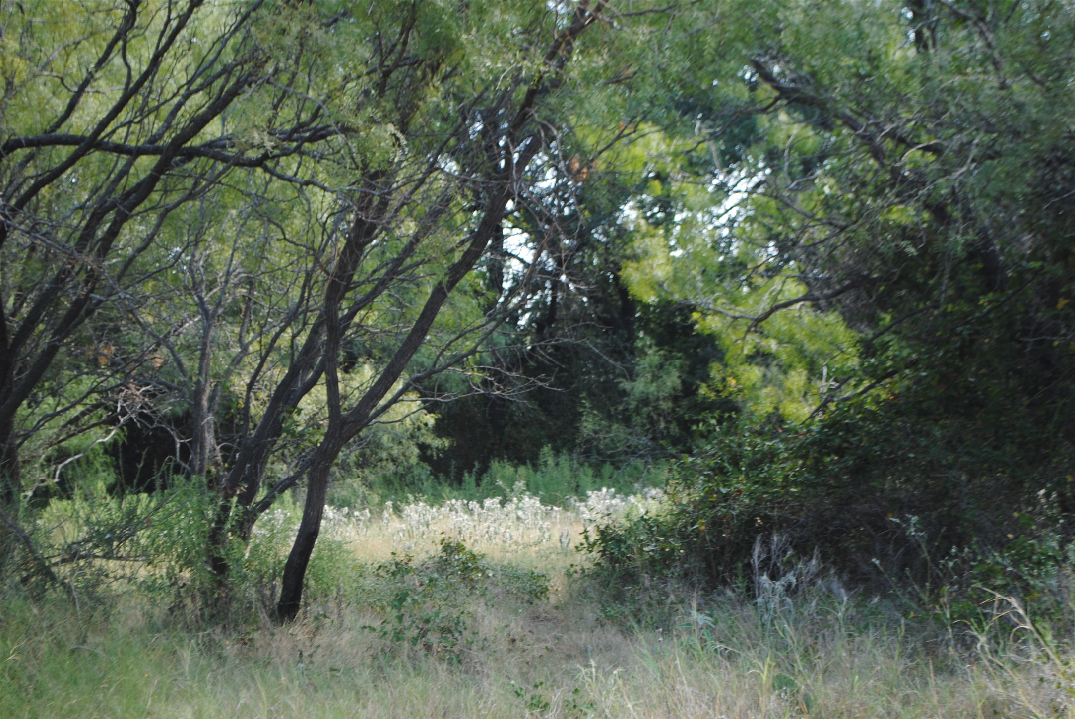 Tbd Cr 131 Comanche TX 76857