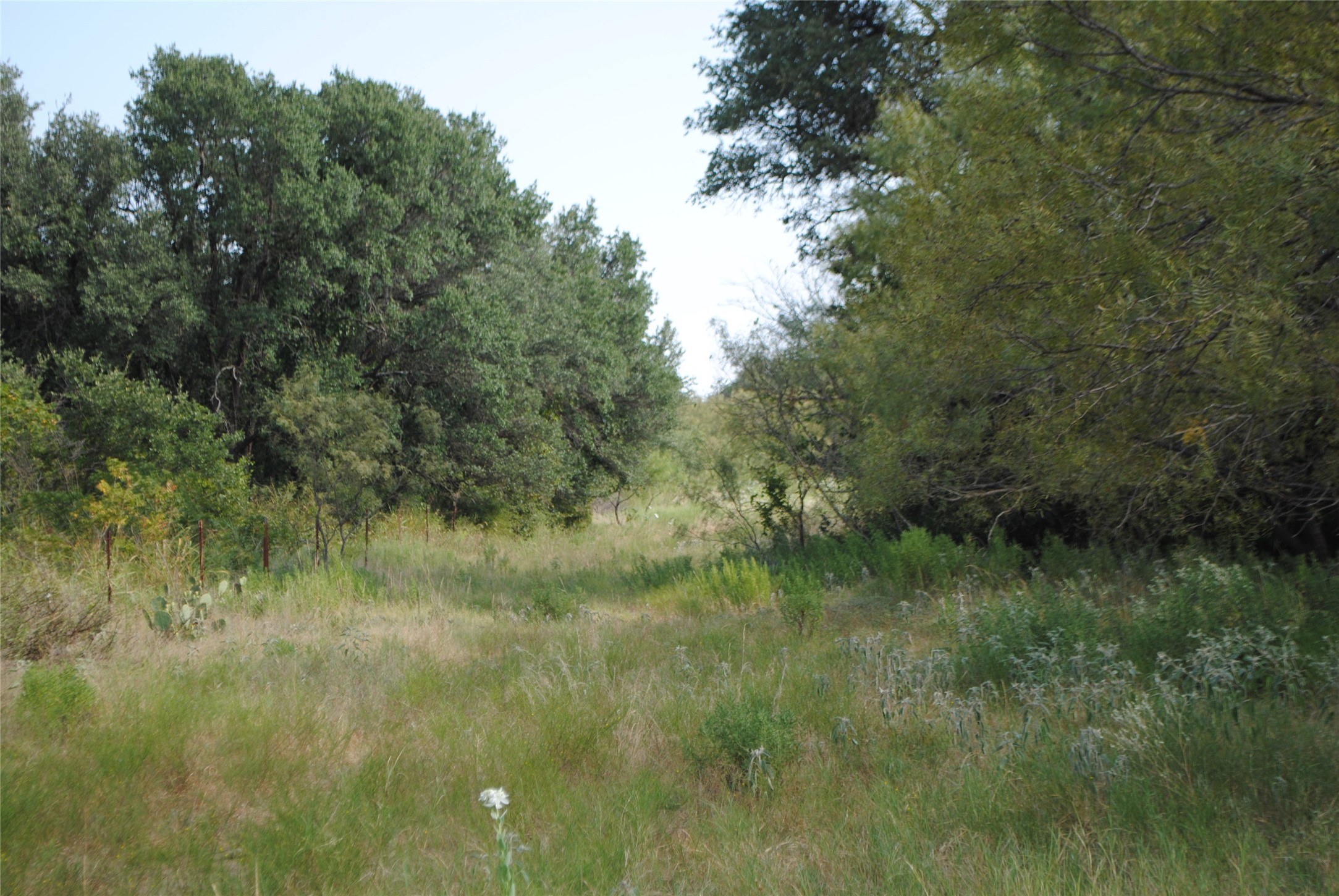 Tbd Cr 131 Comanche TX 76857