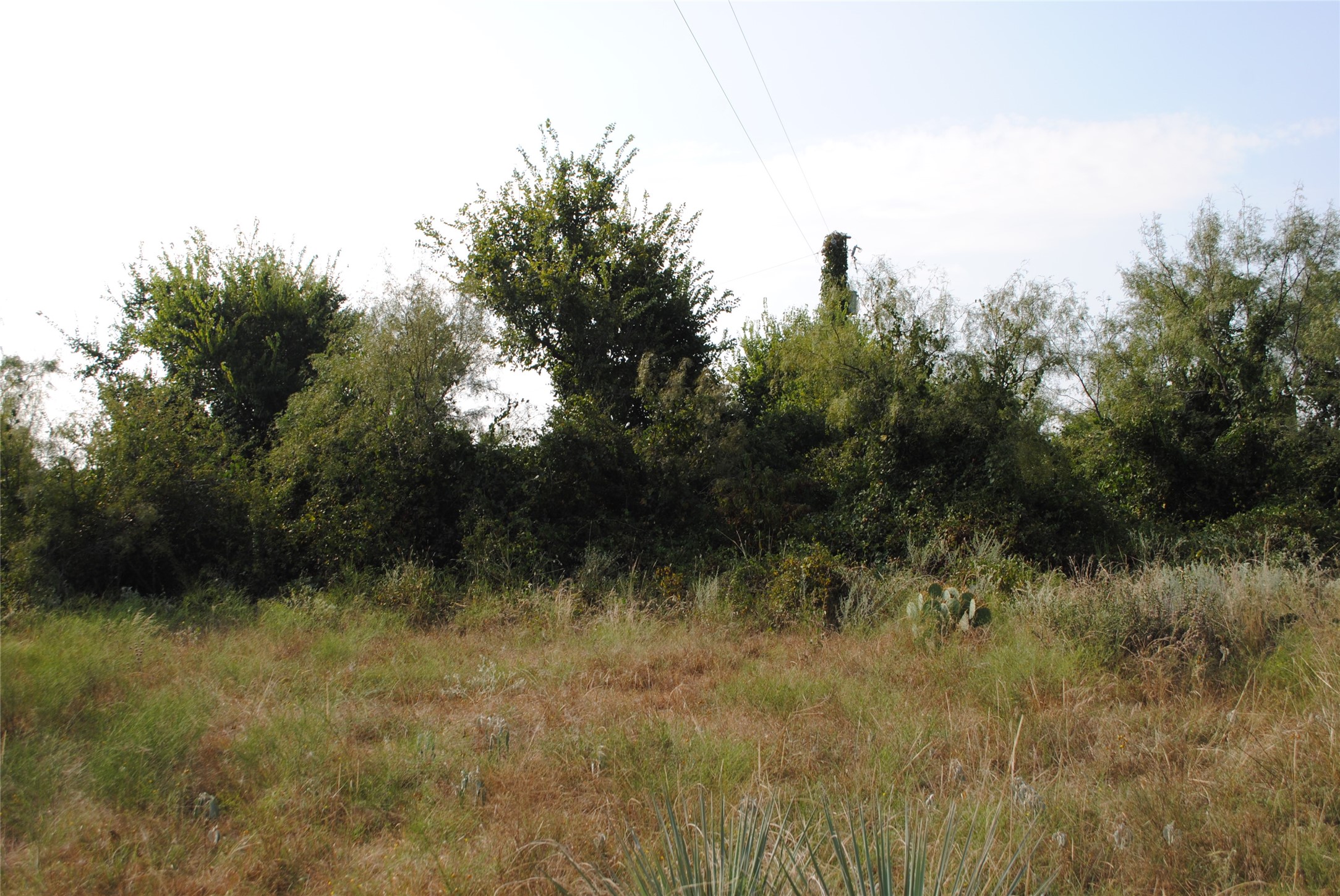 Tbd Cr 131 Comanche TX 76857