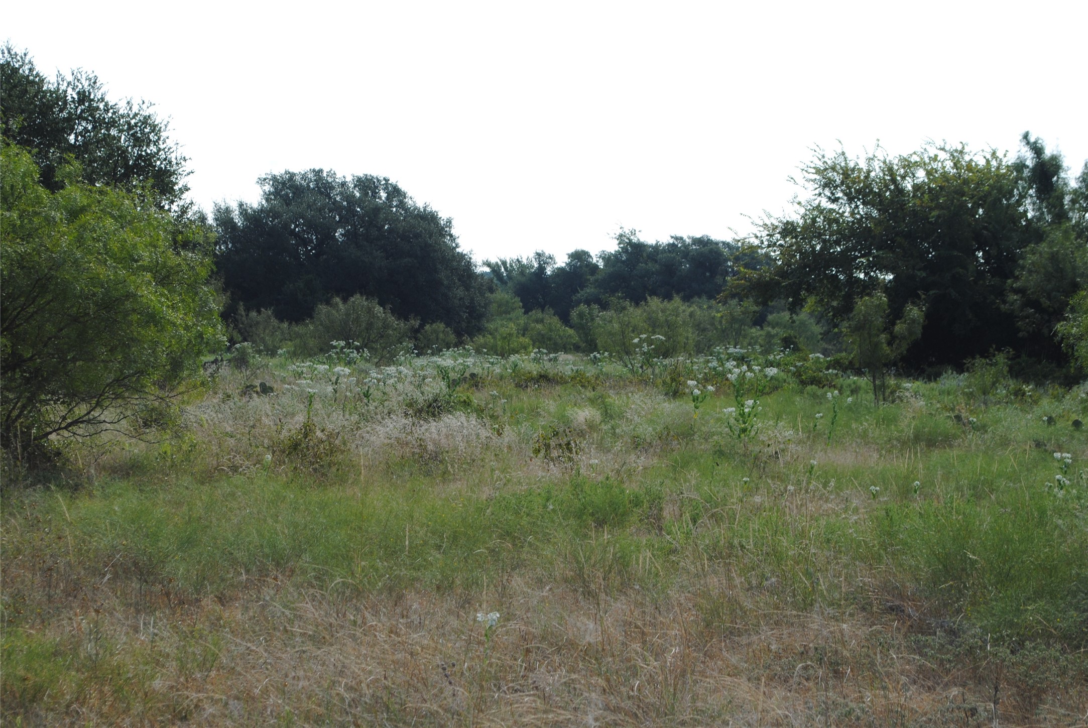 Tbd Cr 131 Comanche TX 76857