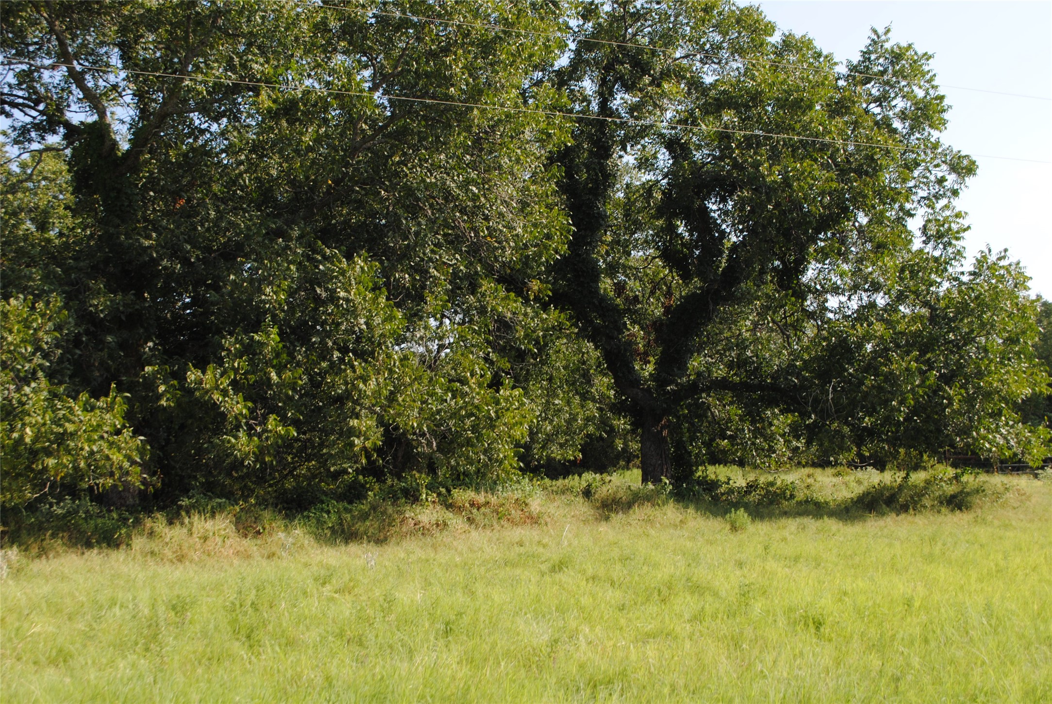 Tbd Cr 131 Comanche TX 76857