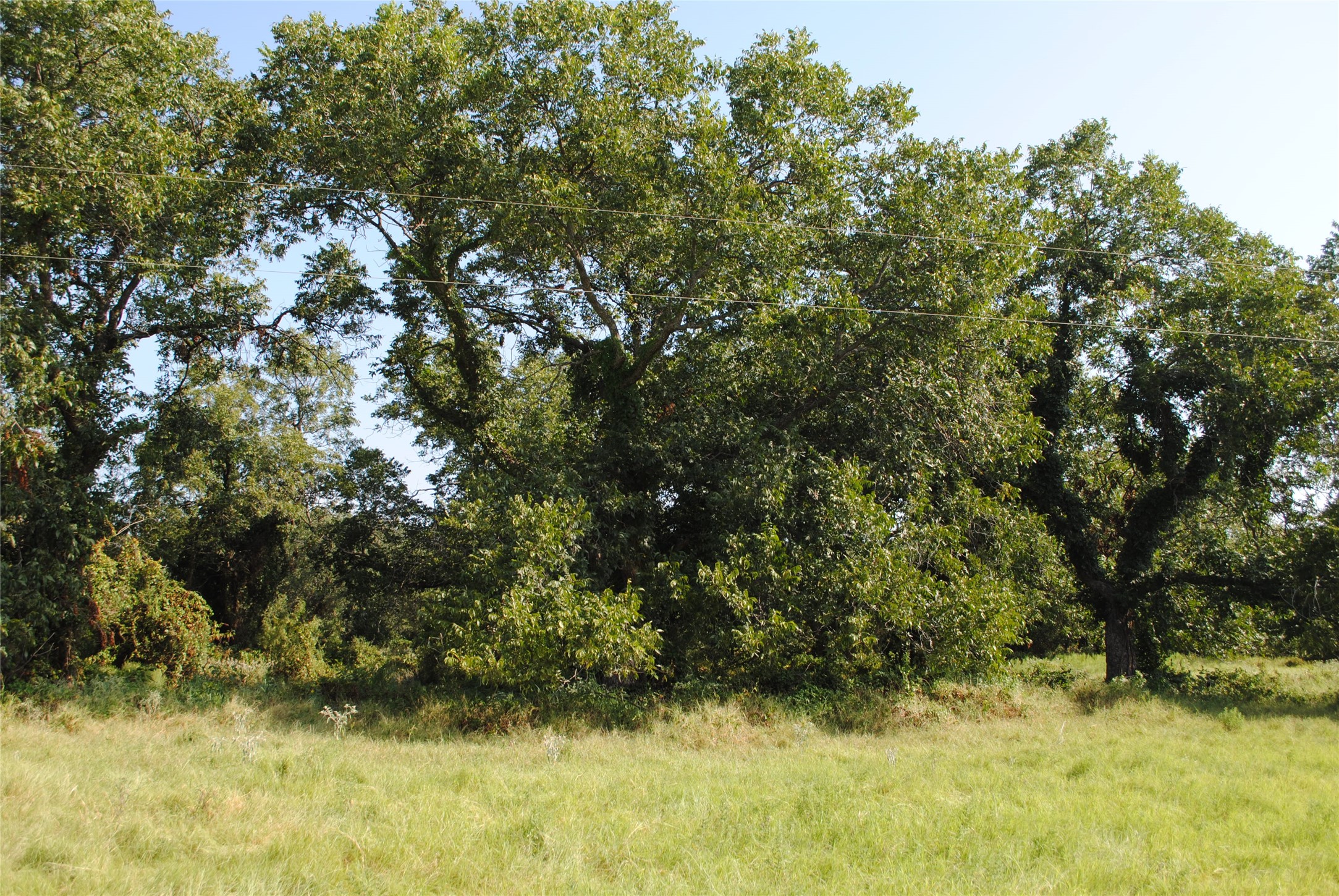 Tbd Cr 131 Comanche TX 76857