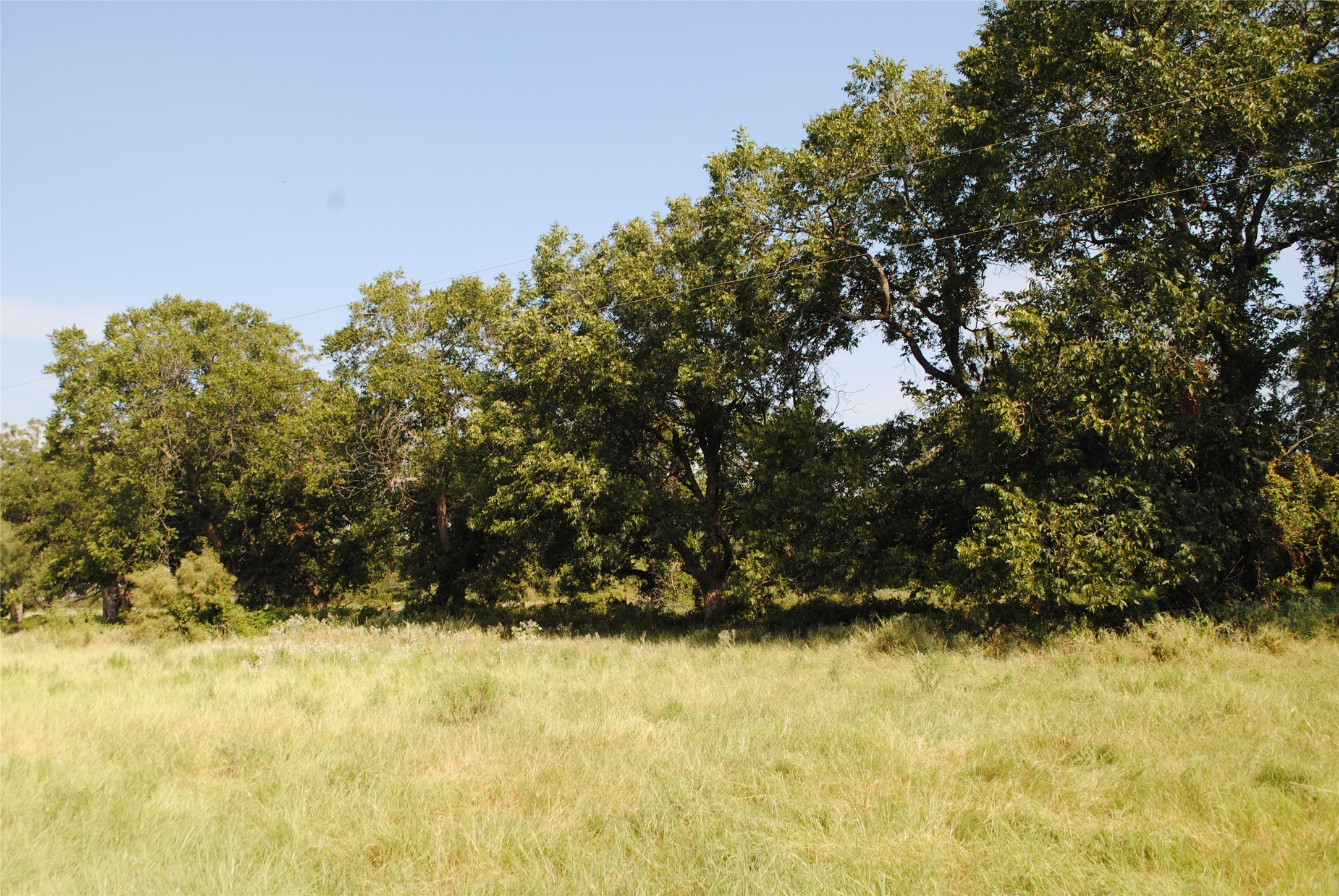 Tbd Cr 131 Comanche TX 76857