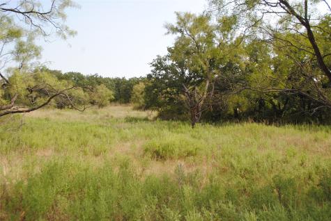 Tbd Cr 131 Comanche TX 76857