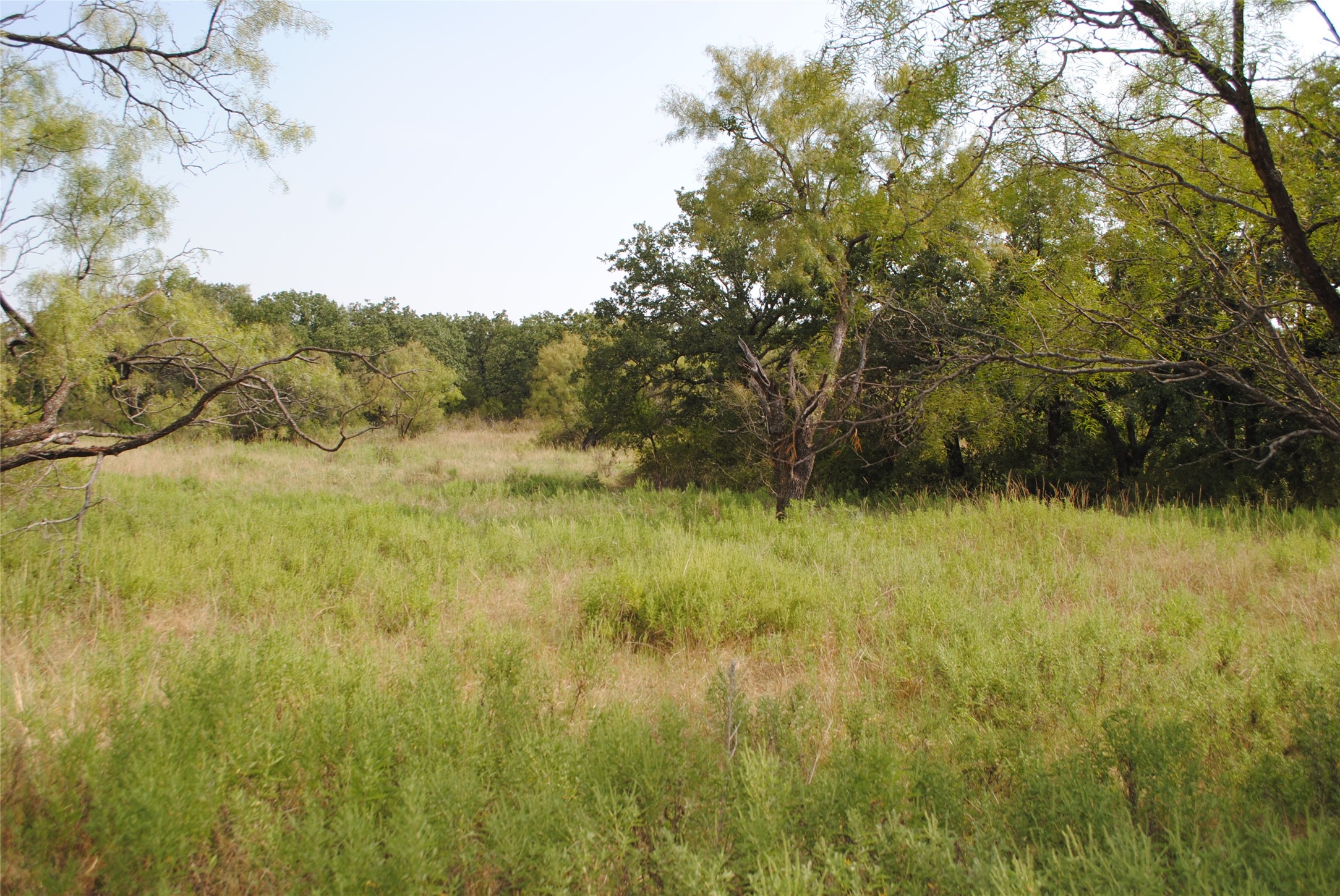 Tbd Cr 131 Comanche TX 76857