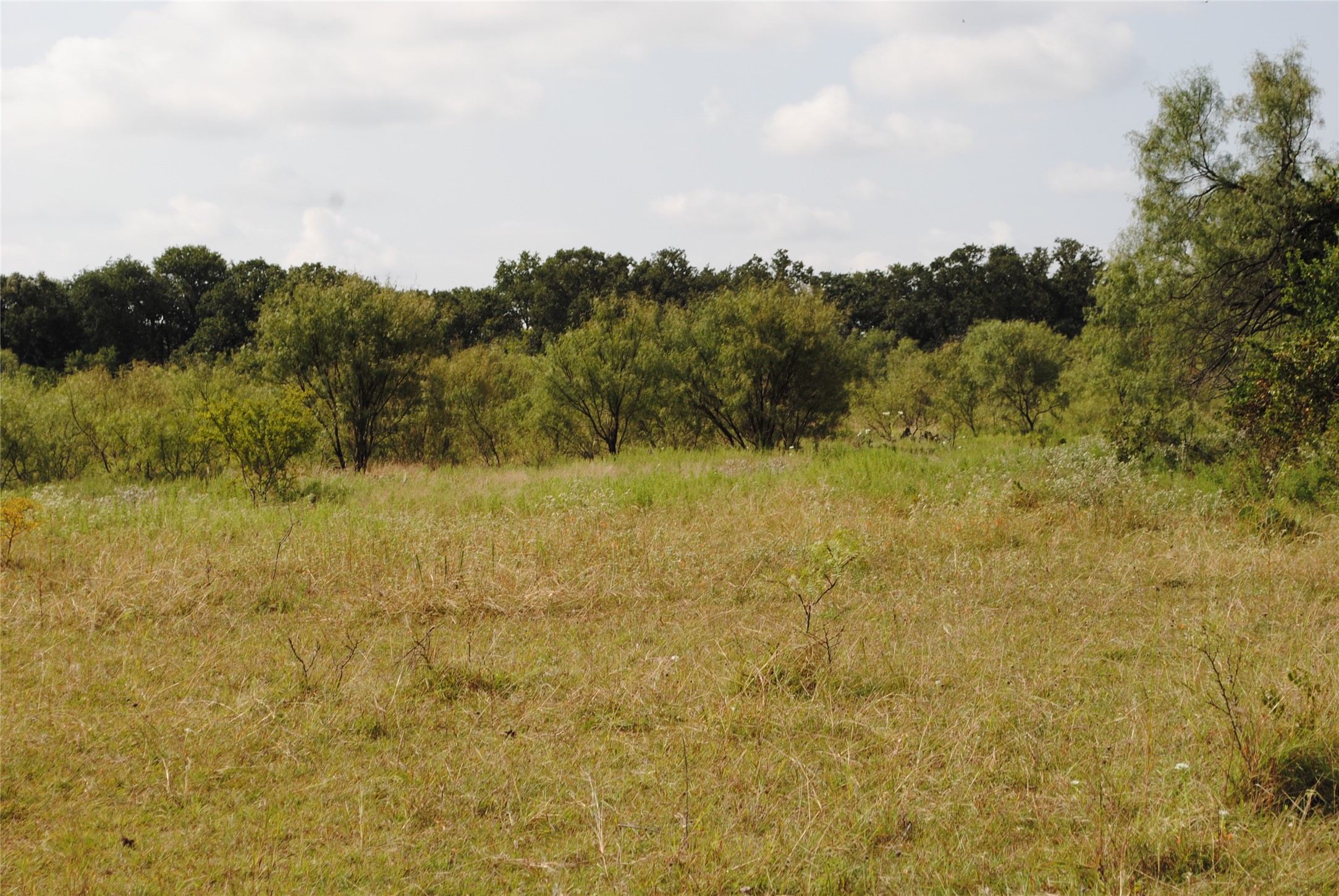 Tbd Cr 131 Comanche TX 76857