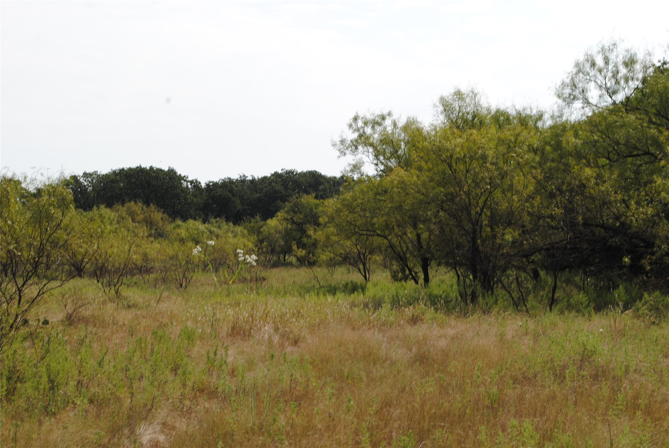Tbd Cr 131 Comanche TX 76857
