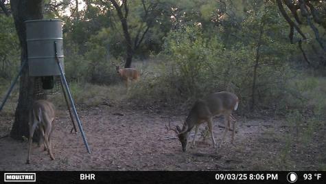 Tbd Cr 131 Comanche TX 76857