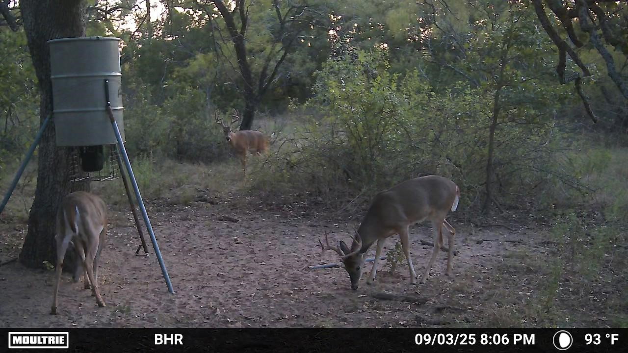 Tbd Cr 131 Comanche TX 76857