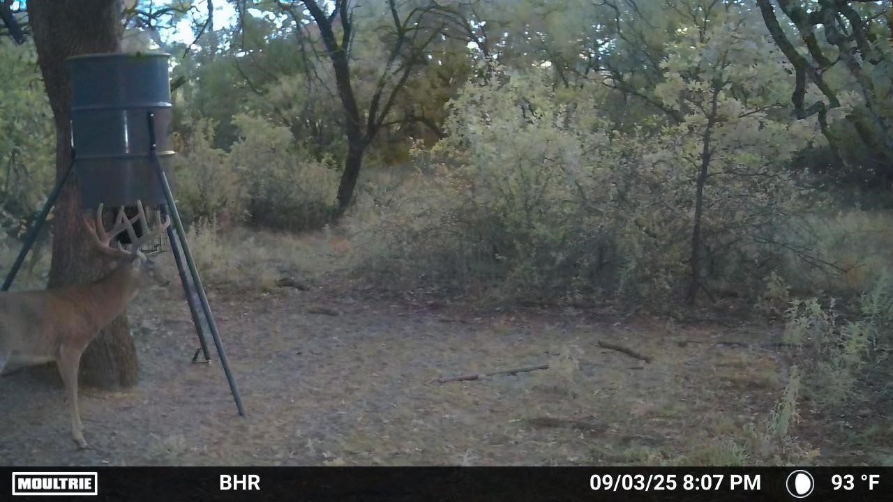 Tbd Cr 131 Comanche TX 76857
