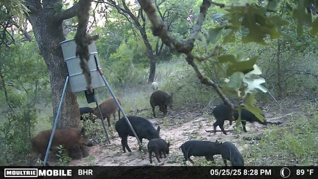 Tbd Cr 131 Comanche TX 76857