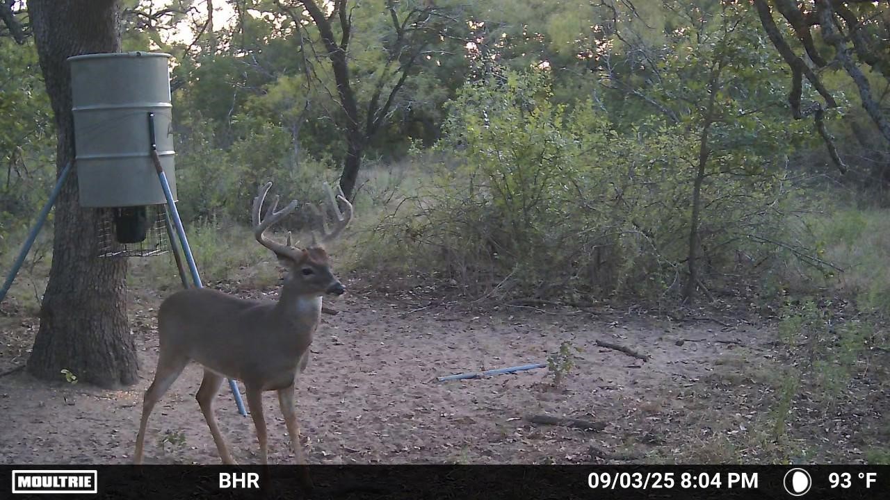 Tbd Cr 131 Comanche TX 76857