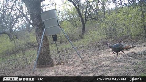 Tbd Cr 131 Comanche TX 76857