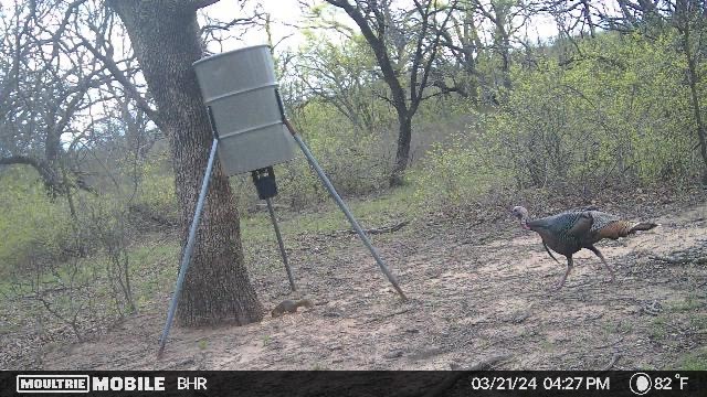 Tbd Cr 131 Comanche TX 76857