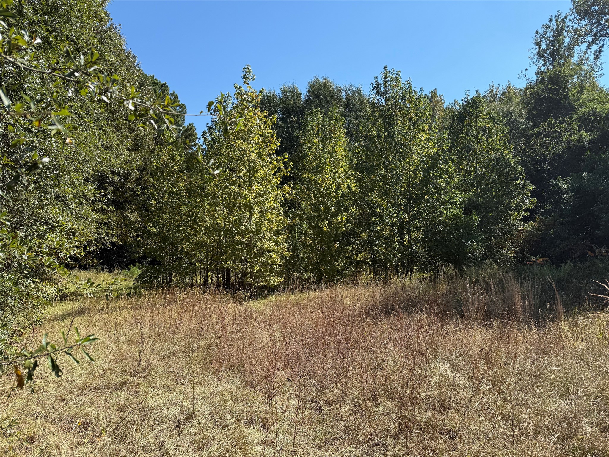 Tbd E Highway 80 Hawkins TX 75765