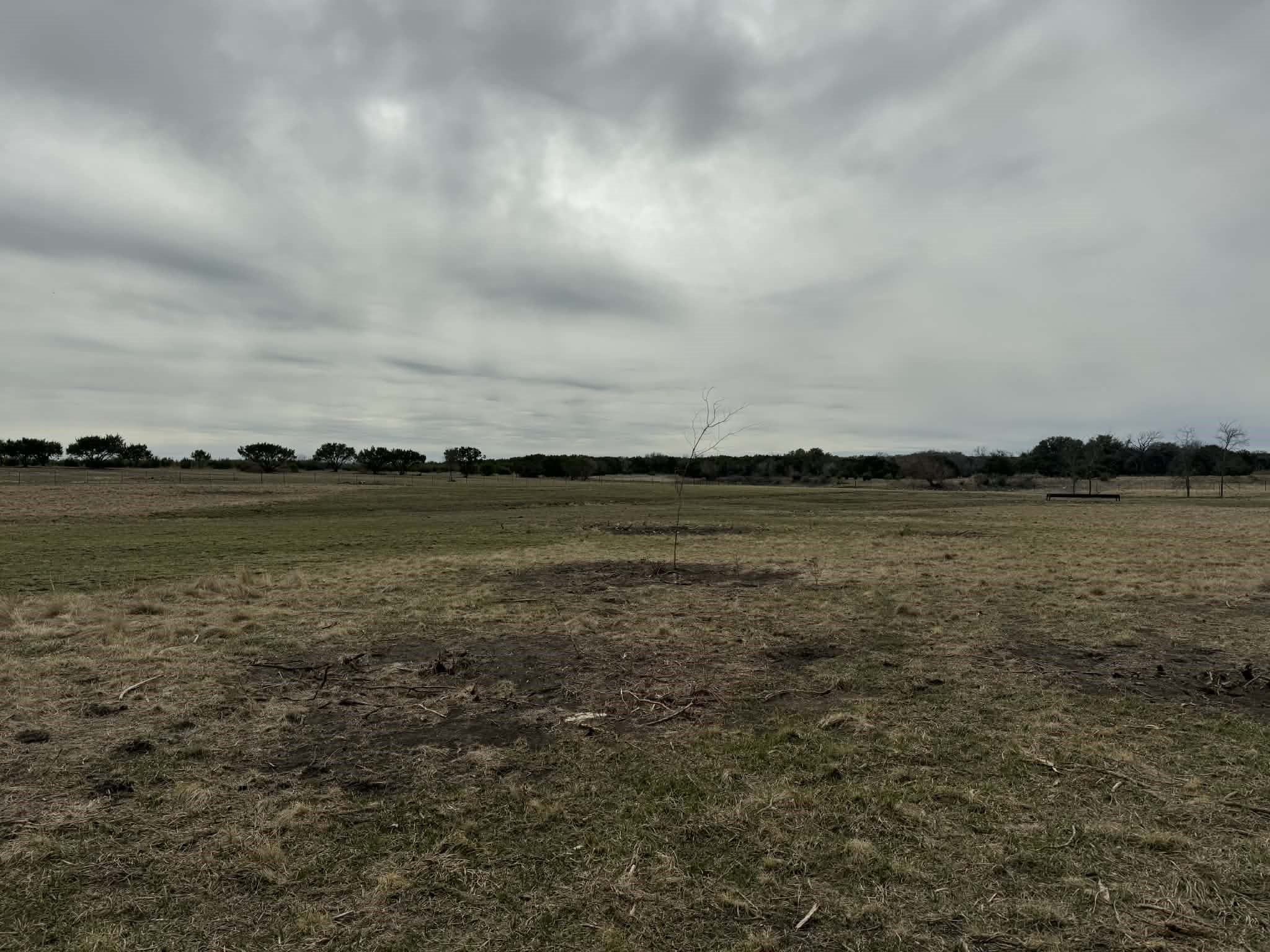 Tbd County Road 218 Iredell TX 76649