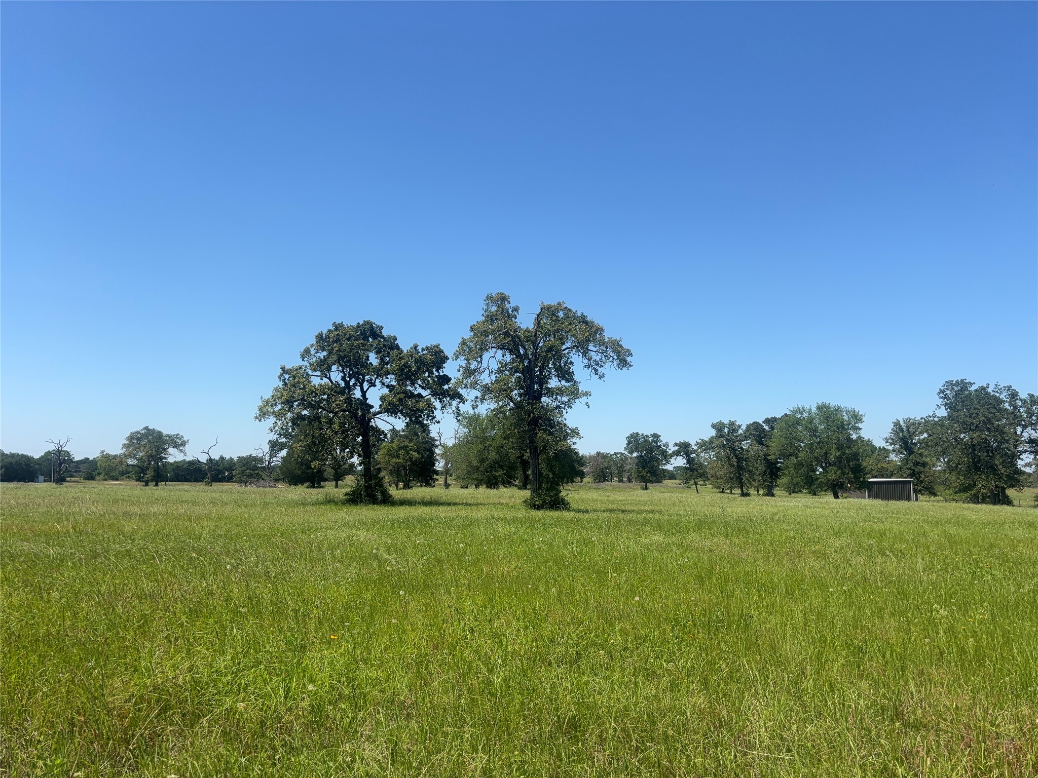 296 Lcr 806 Groesbeck TX 76642