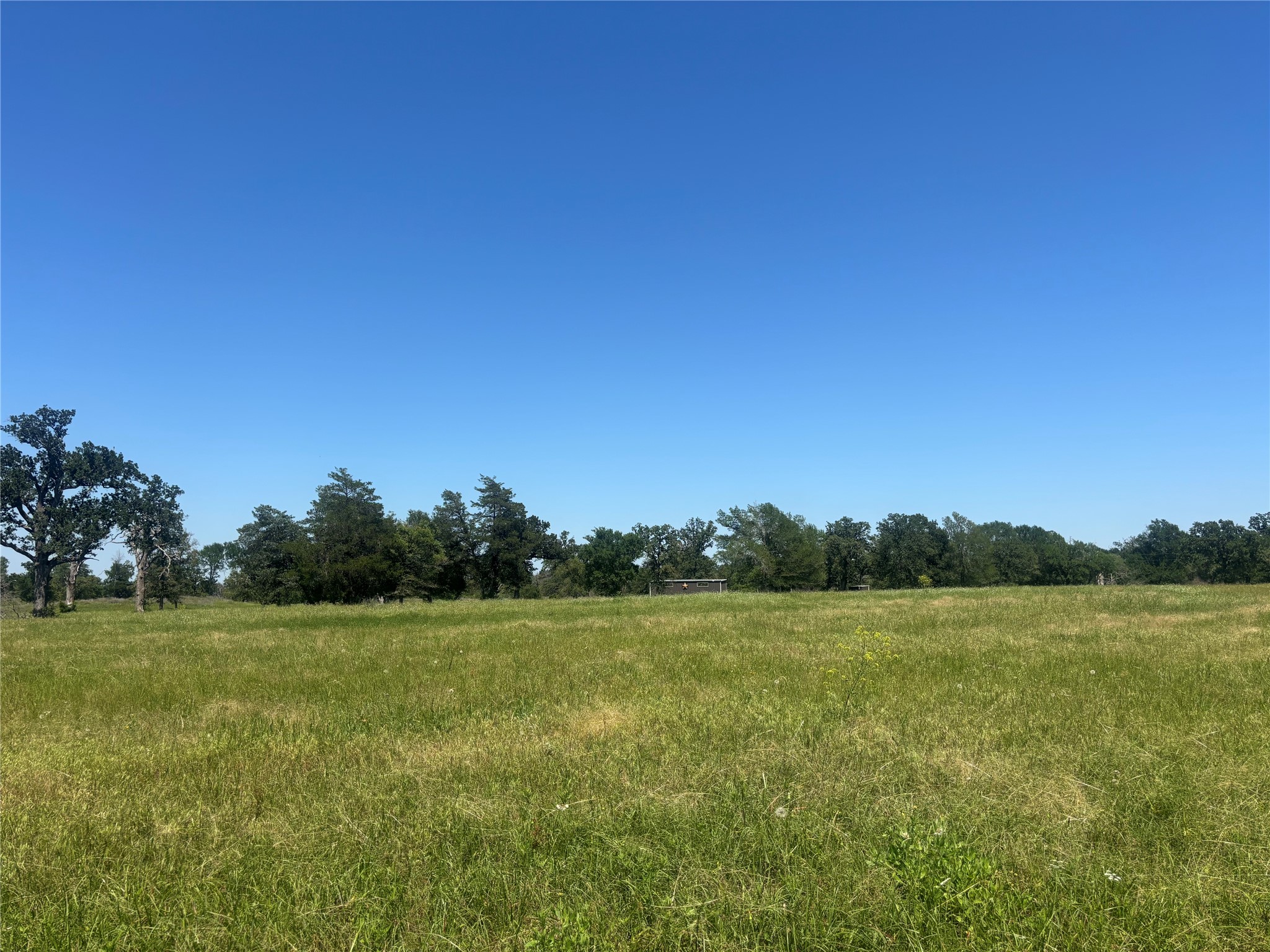 296 Lcr 806 Groesbeck TX 76642