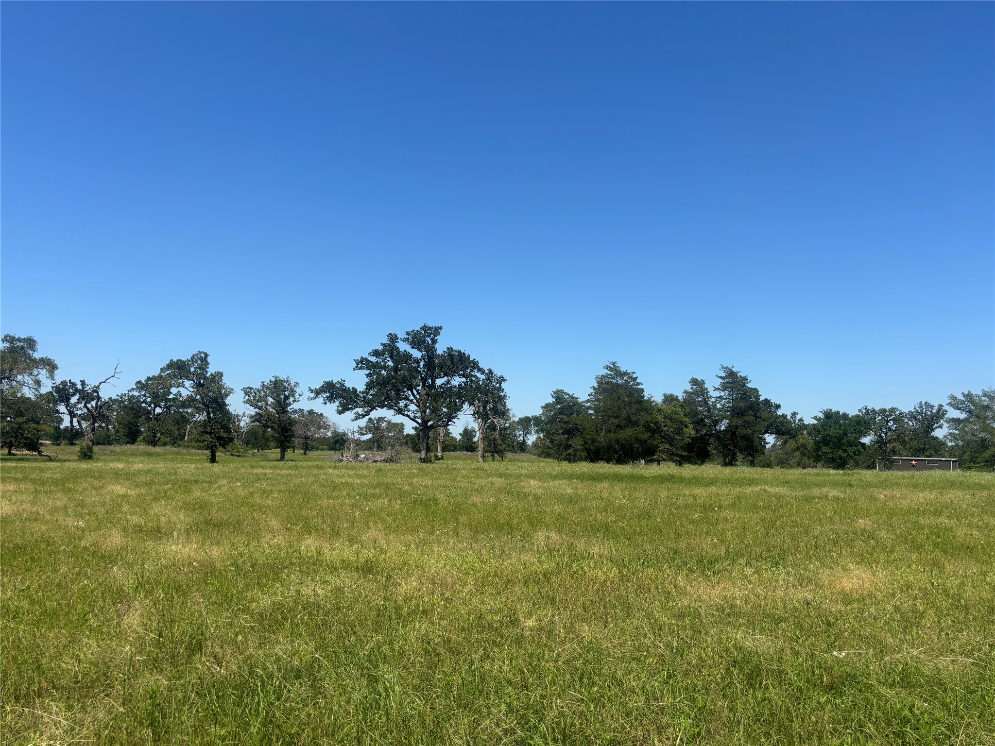 296 Lcr 806 Groesbeck TX 76642