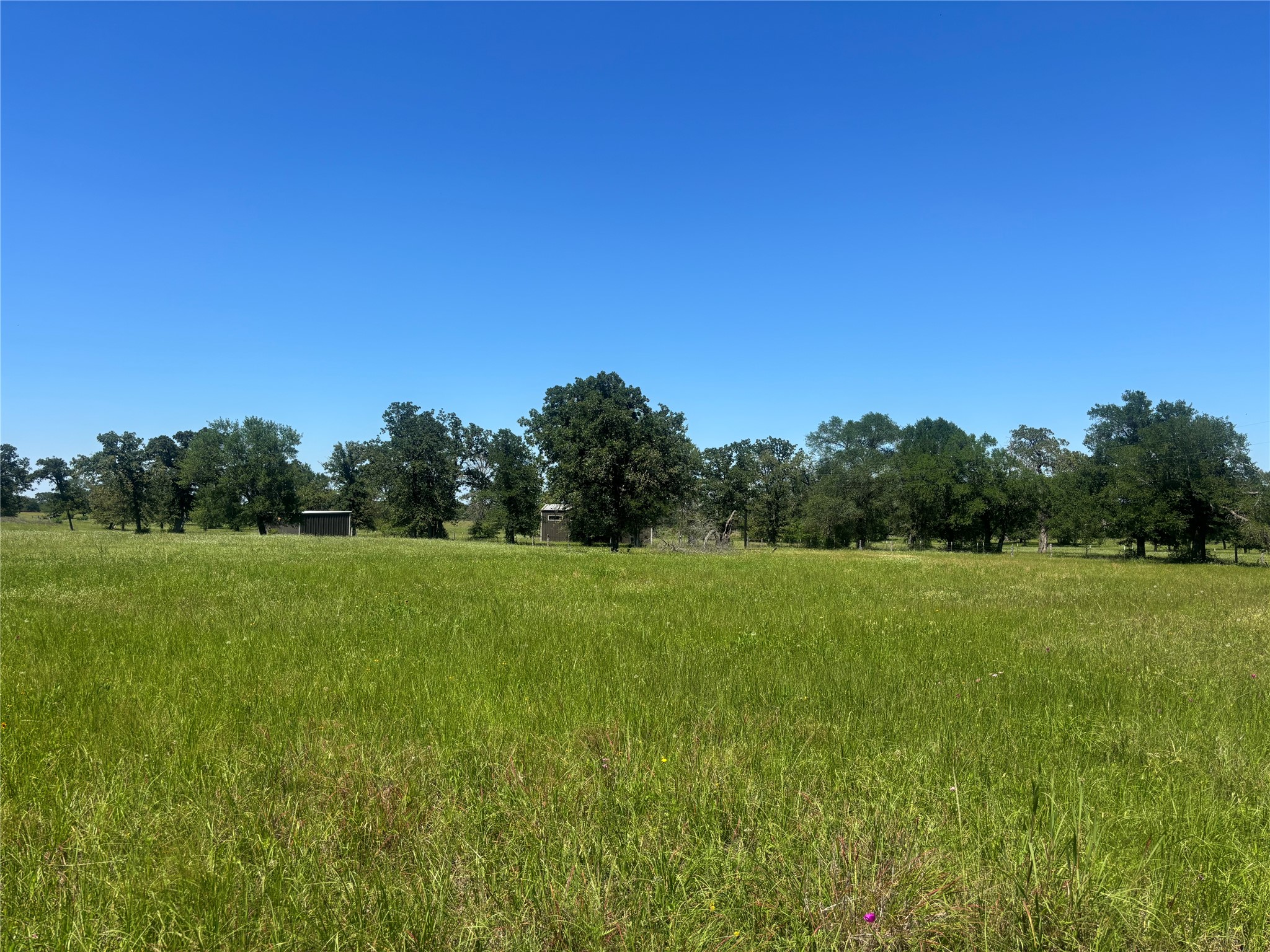 296 Lcr 806 Groesbeck TX 76642