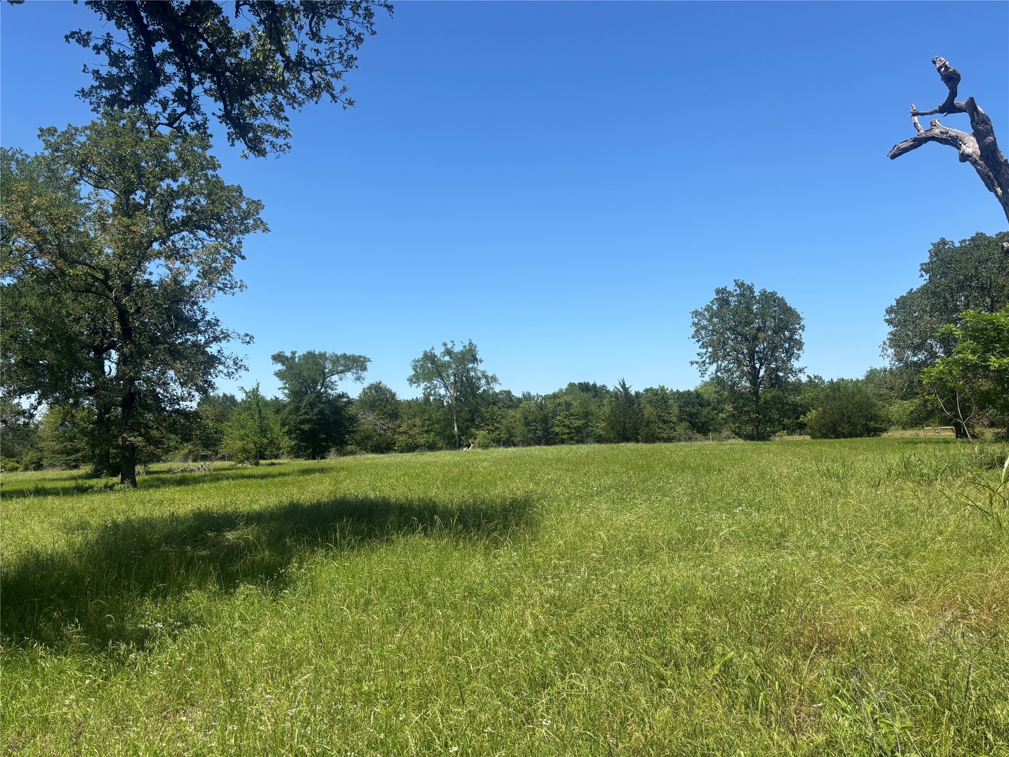 296 Lcr 806 Groesbeck TX 76642