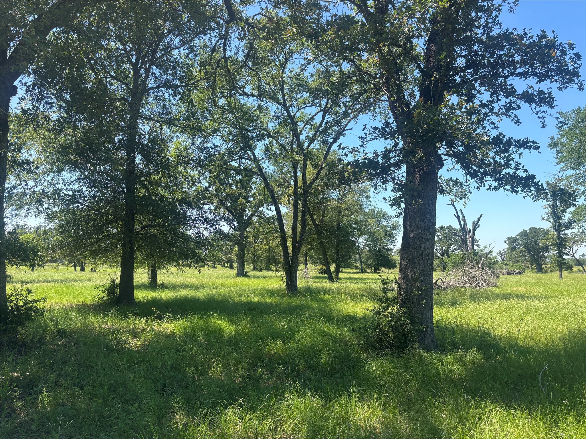 296 Lcr 806 Groesbeck TX 76642