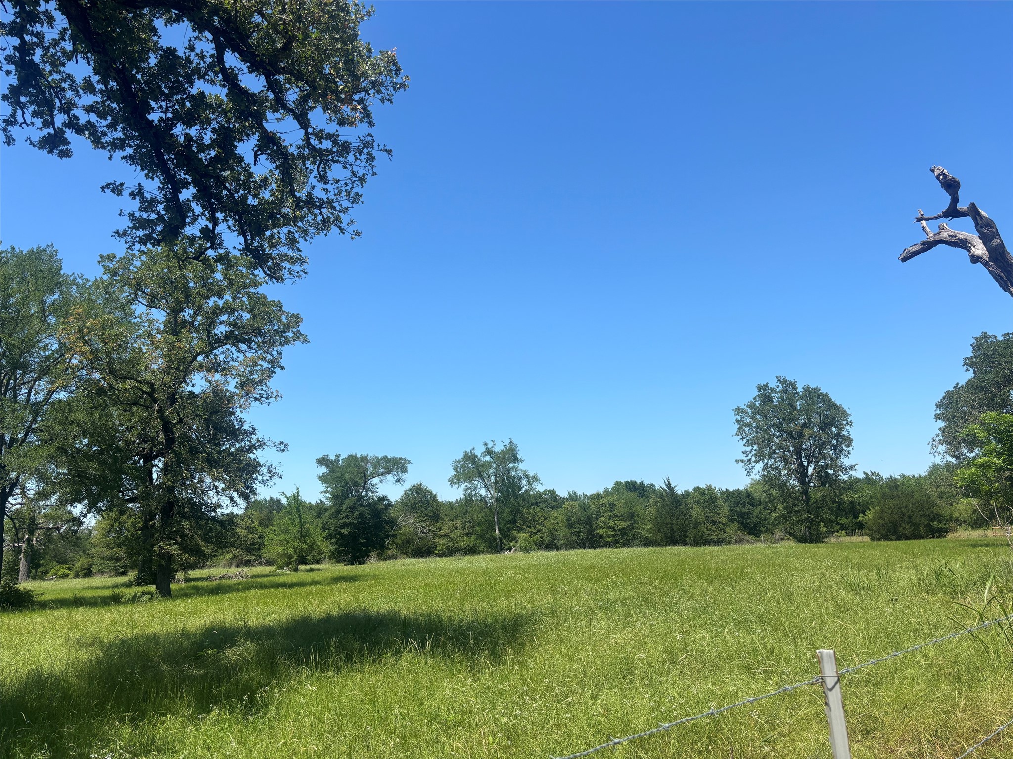 296 Lcr 806 Groesbeck TX 76642
