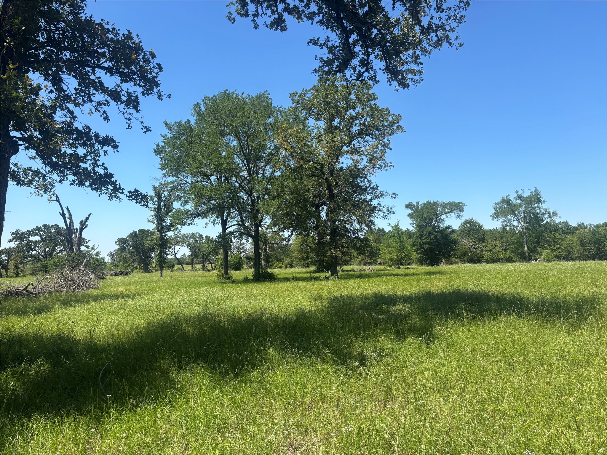 296 Lcr 806 Groesbeck TX 76642