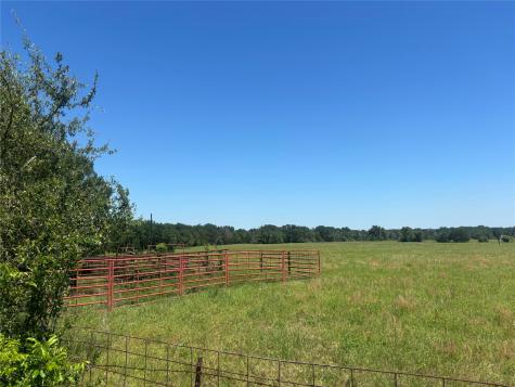 296 Lcr 806 Groesbeck TX 76642