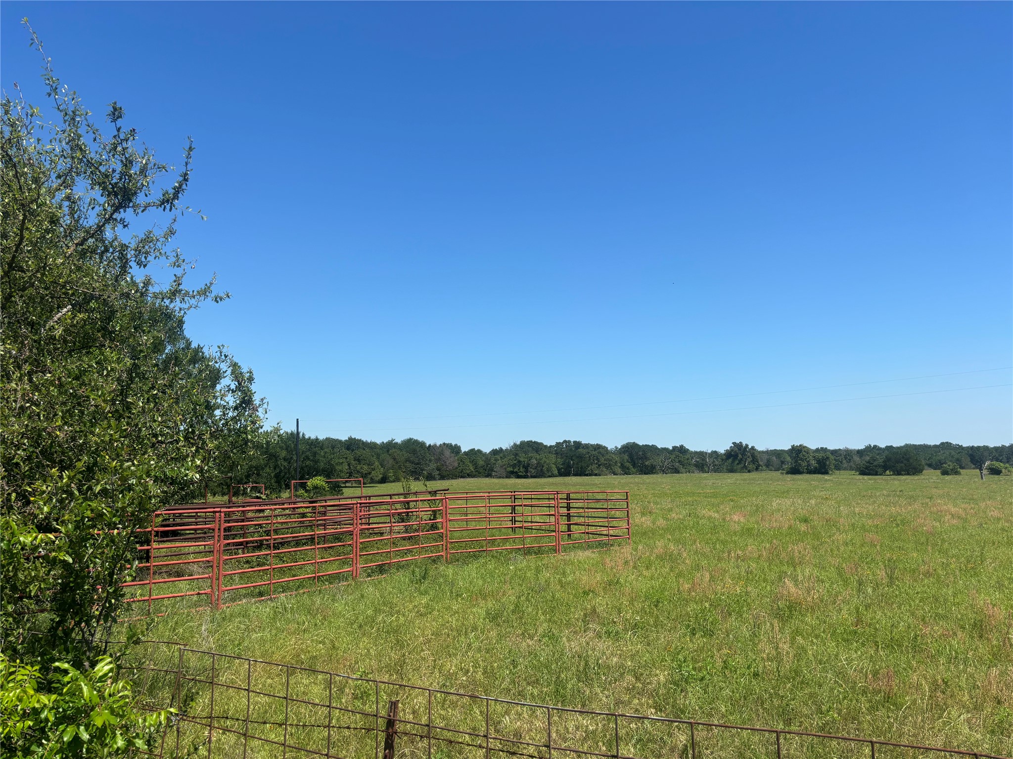 296 Lcr 806 Groesbeck TX 76642