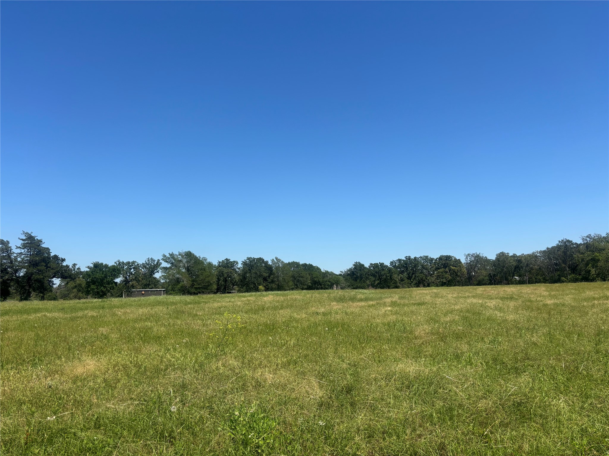 296 Lcr 806 Groesbeck TX 76642