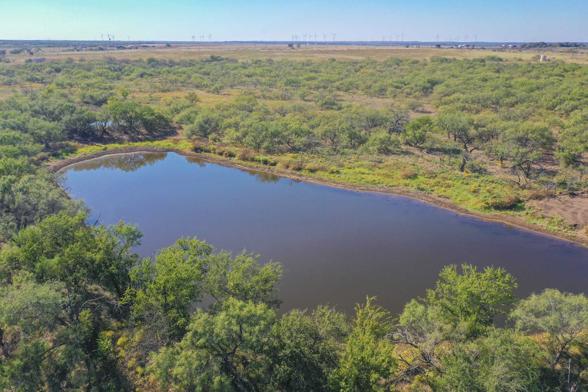 54.53 Acres Highway 199 Road Jacksboro TX 76458