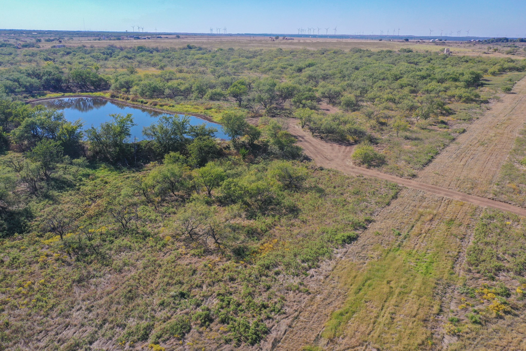 54.53 Acres Highway 199 Road Jacksboro TX 76458