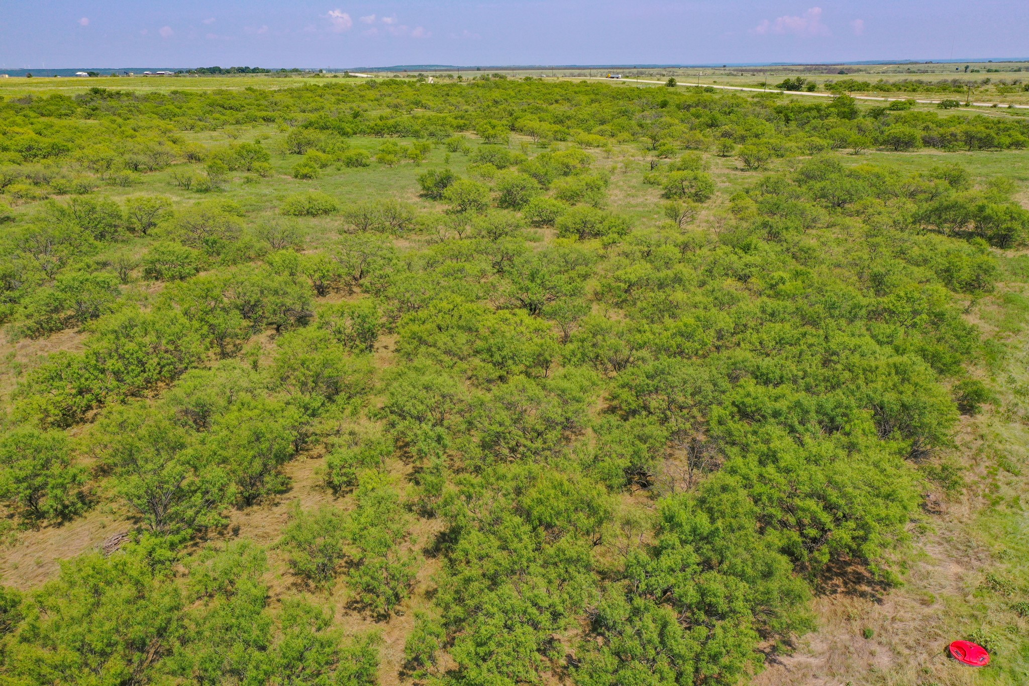 54.53 Acres Hwy 199 Road Jacksboro TX 76458