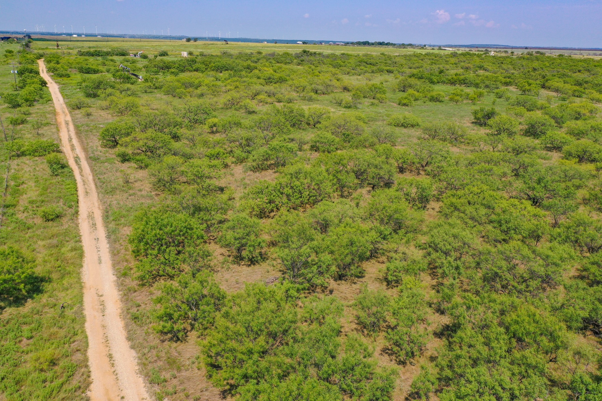54.53 Acres Highway 199 Road Jacksboro TX 76458