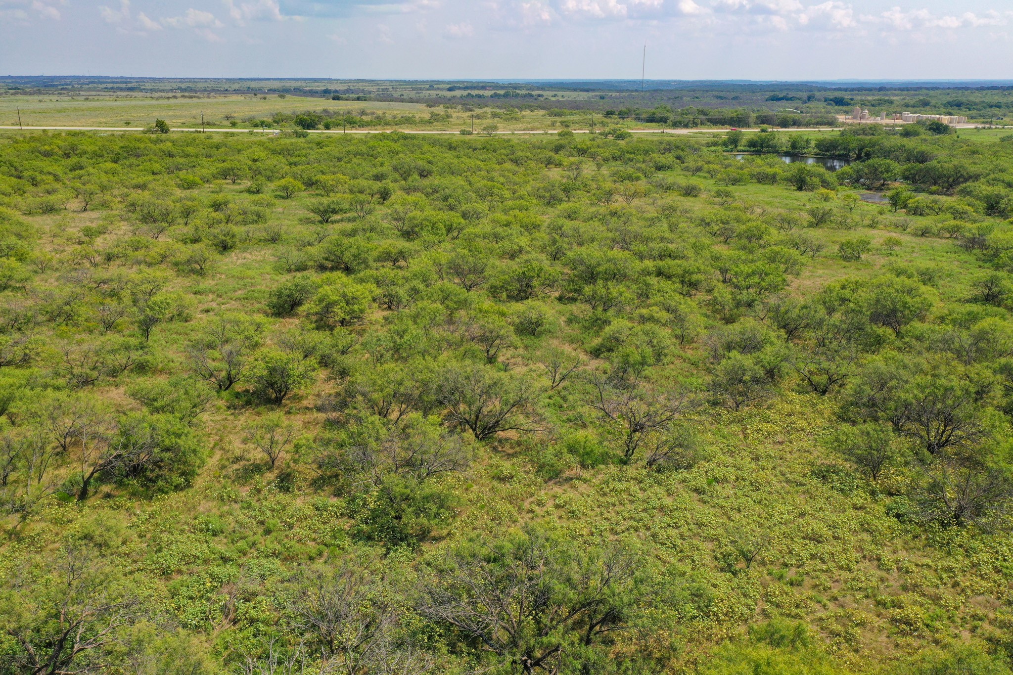 54.53 Acres Highway 199 Road Jacksboro TX 76458