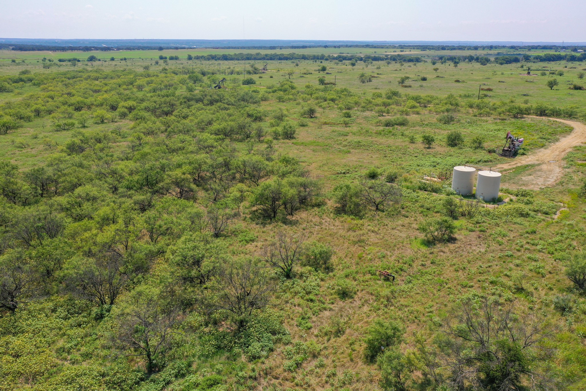 54.53 Acres Highway 199 Road Jacksboro TX 76458