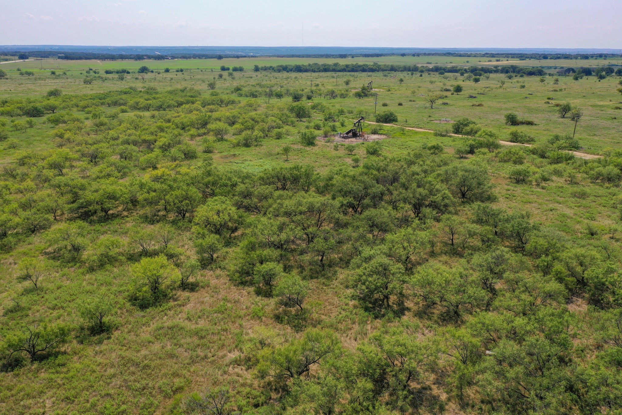 54.53 Acres Highway 199 Road Jacksboro TX 76458