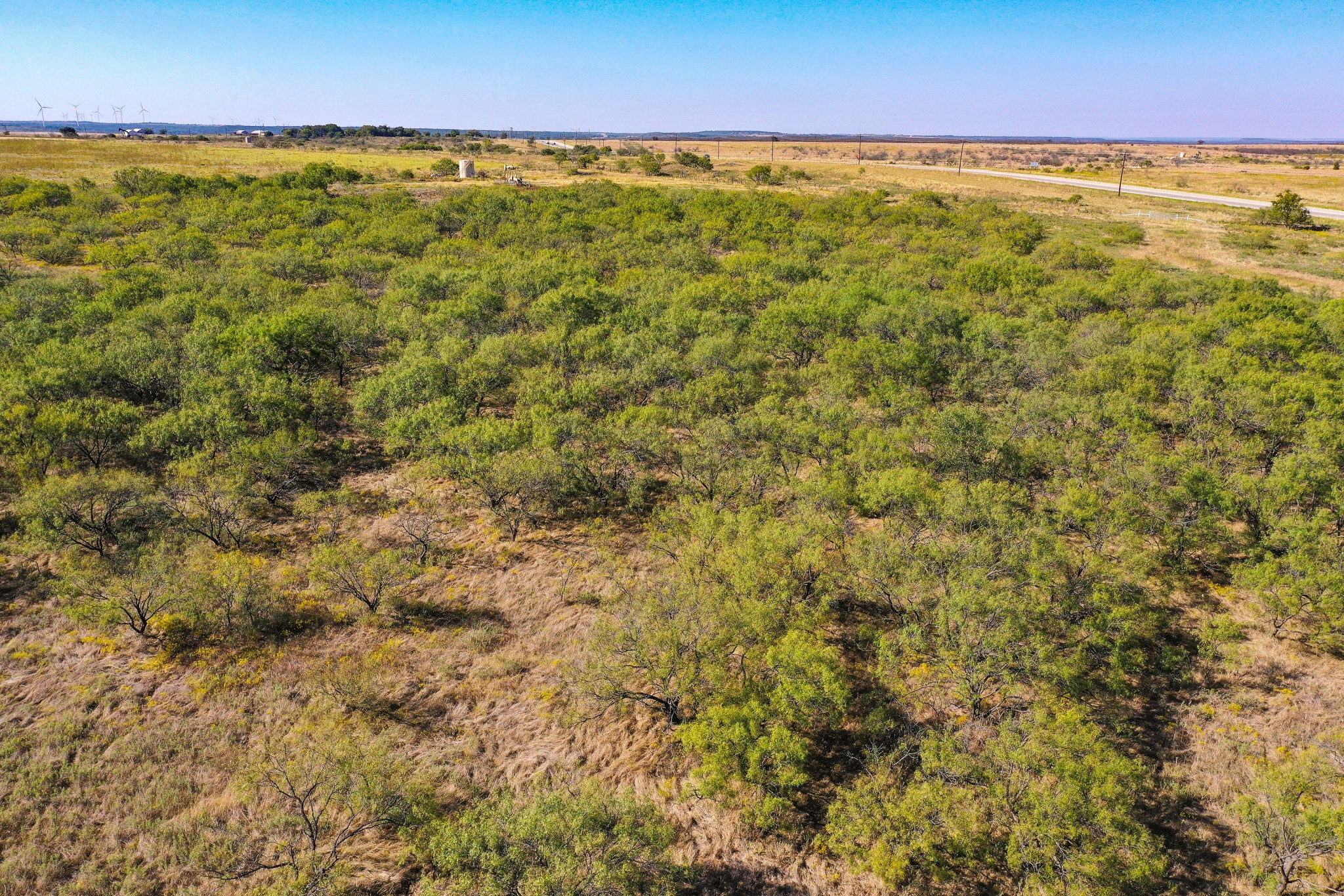 54.53 Acres Highway 199 Road Jacksboro TX 76458