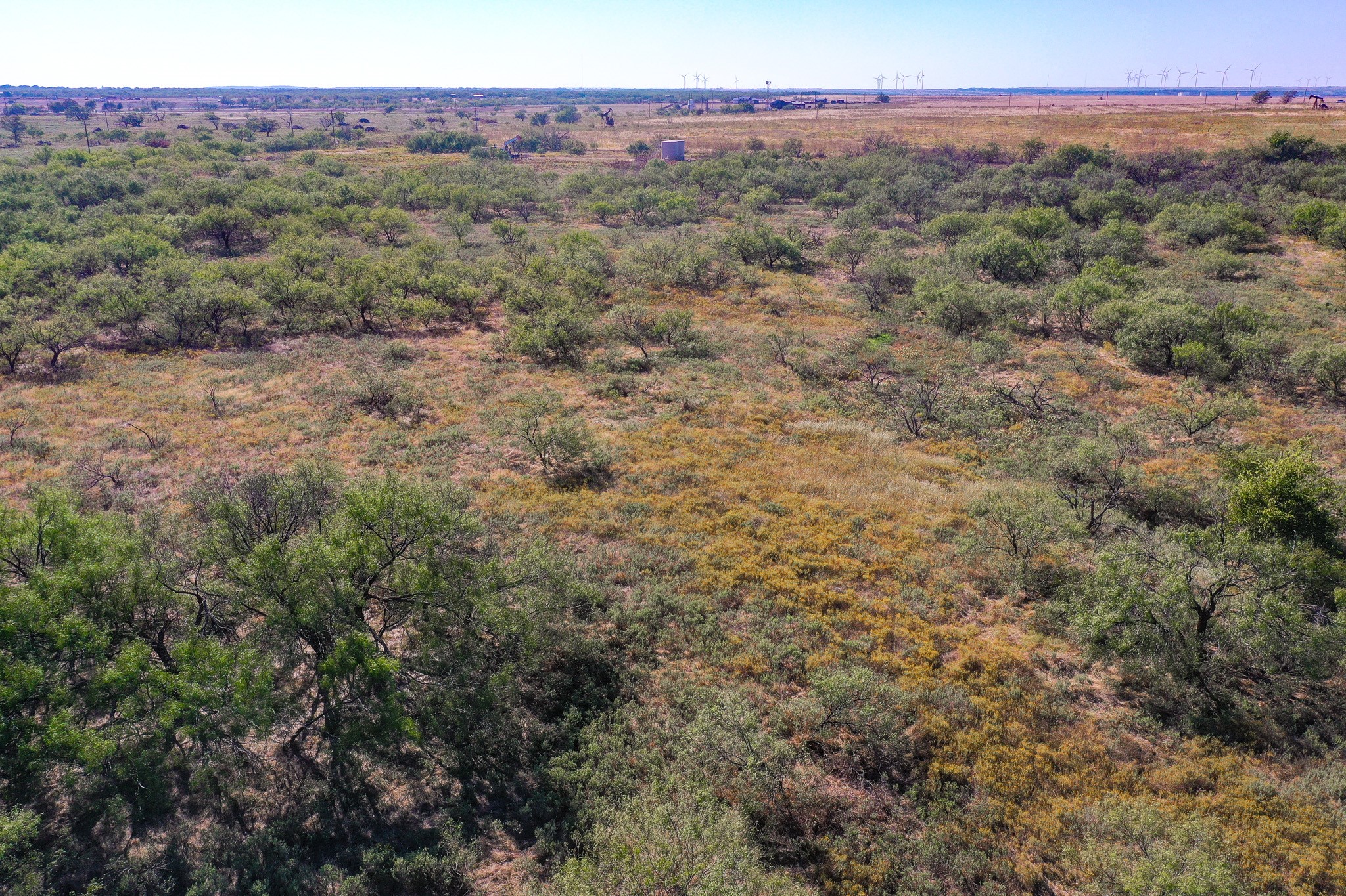 54.53 Acres Hwy 199 Road Jacksboro TX 76458