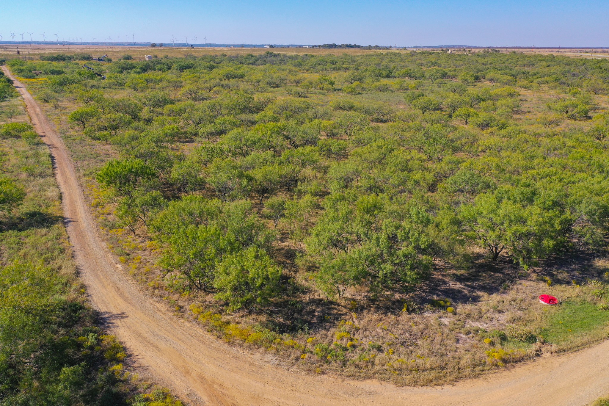 54.53 Acres Hwy 199 Road Jacksboro TX 76458