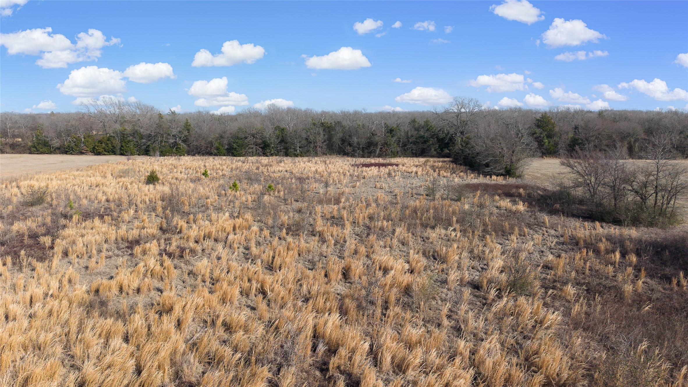 7 .95 Ac County Road 2426 Como TX 75431