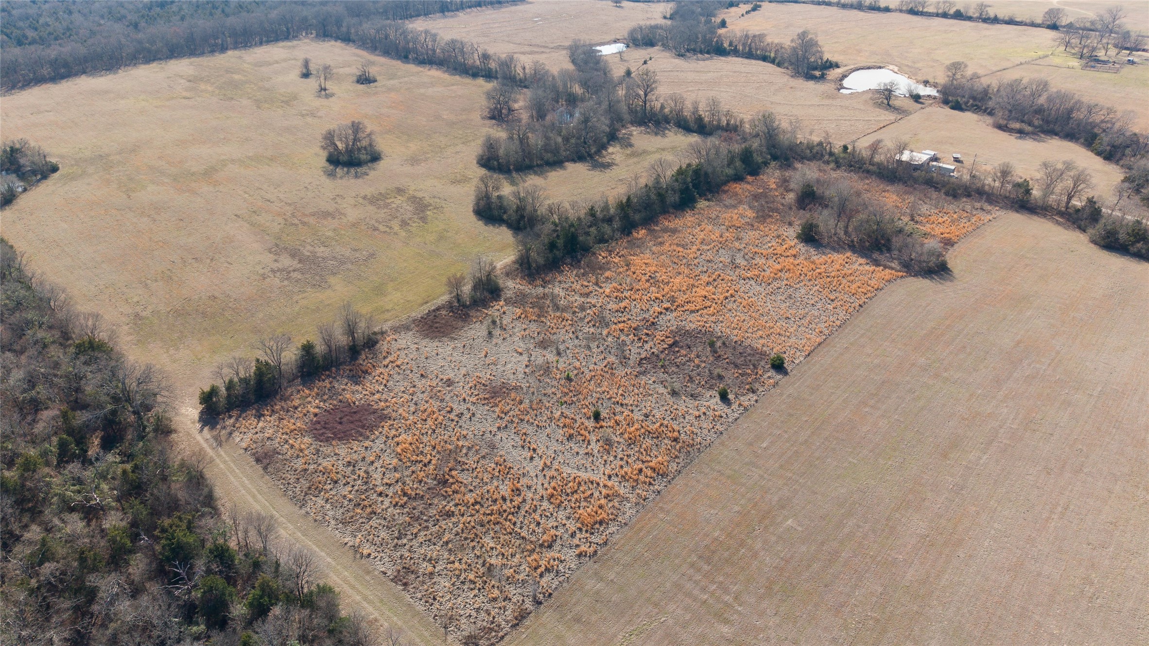 7 .95 Ac County Road 2426 Como TX 75431