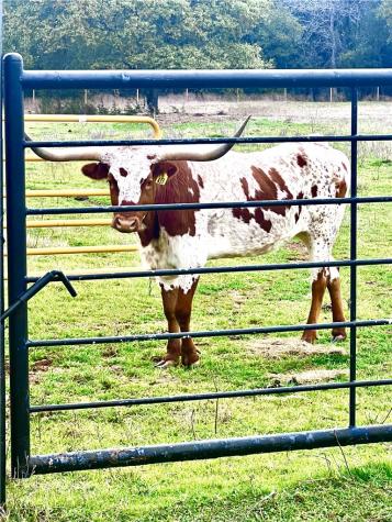 Tbd Sam Bass Road Mcgregor TX 76657