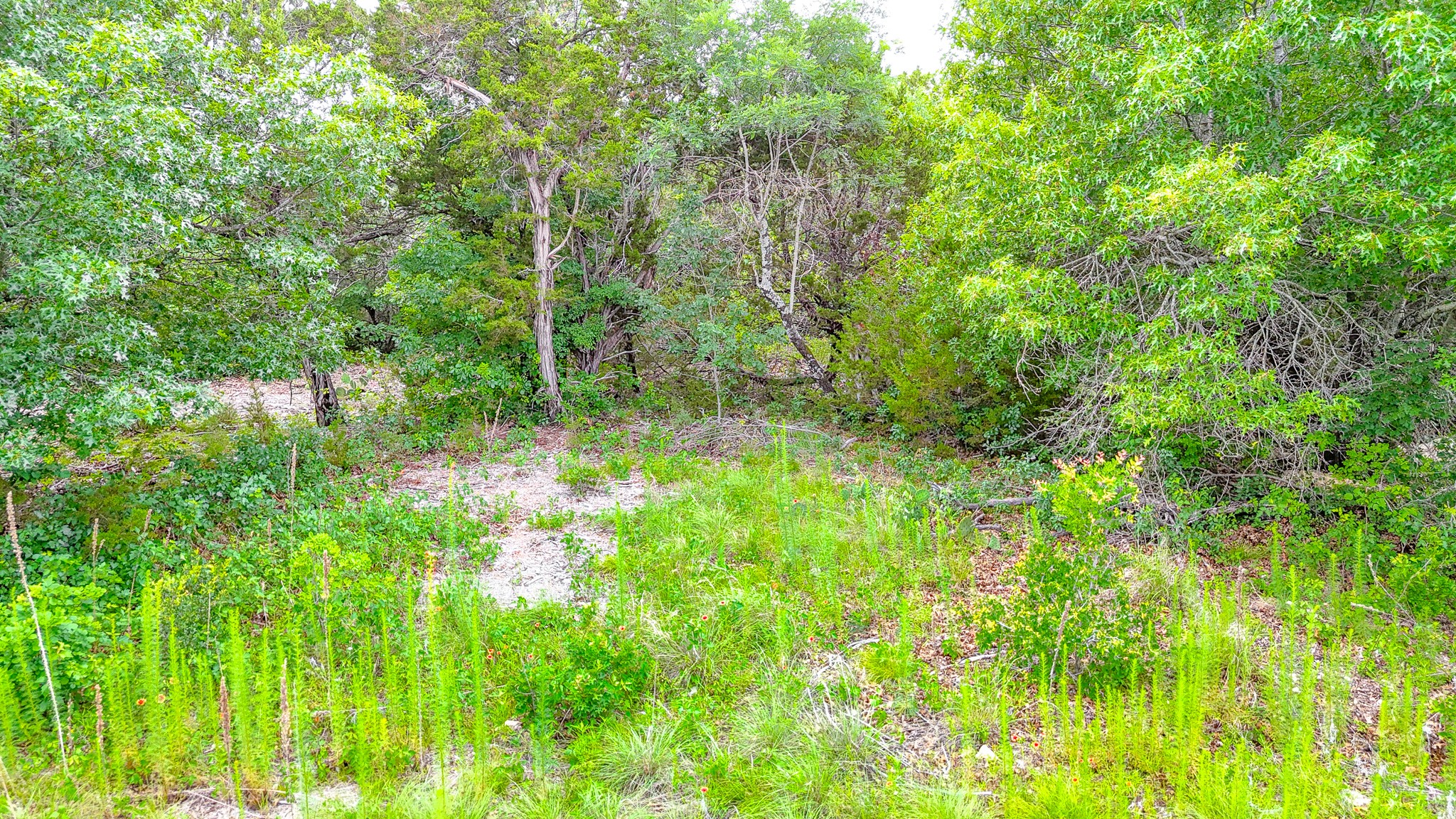 8116 Forres Court Cleburne TX 76033