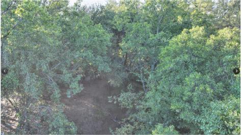 7800 Boswell Court Lipan TX 76462