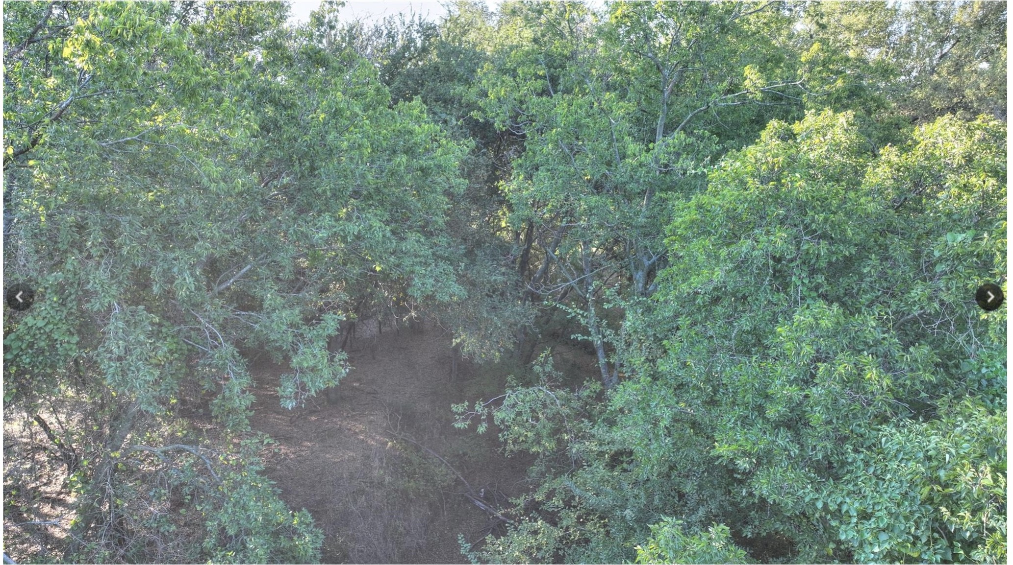 7800 Boswell Court Lipan TX 76462