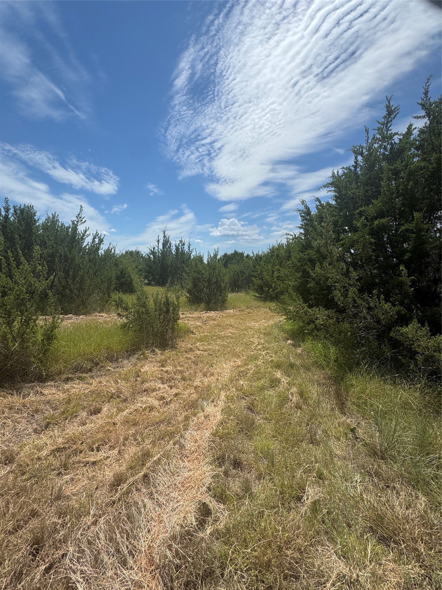 7800 Boswell Court Lipan TX 76462