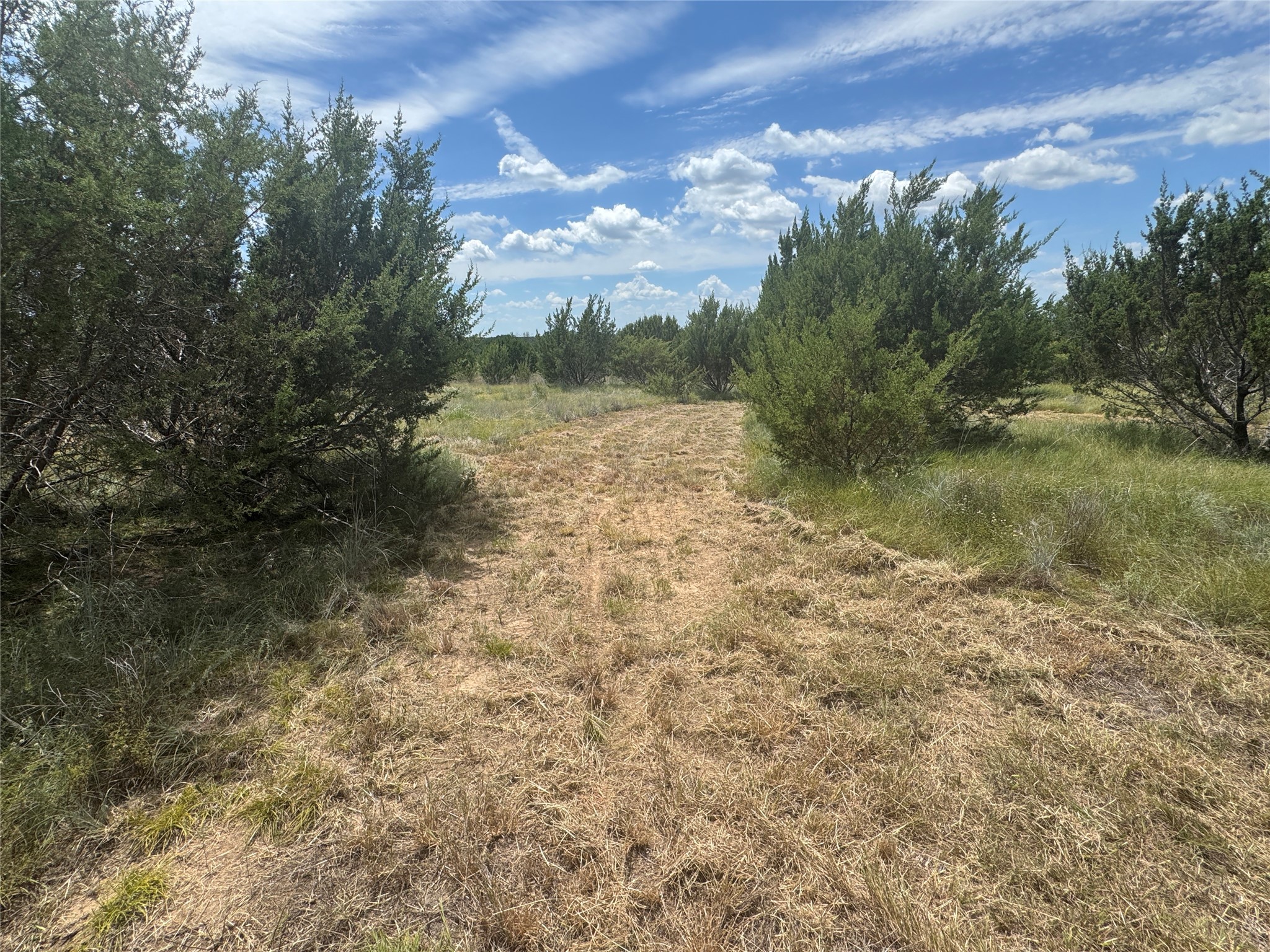 7800 Boswell Court Lipan TX 76462