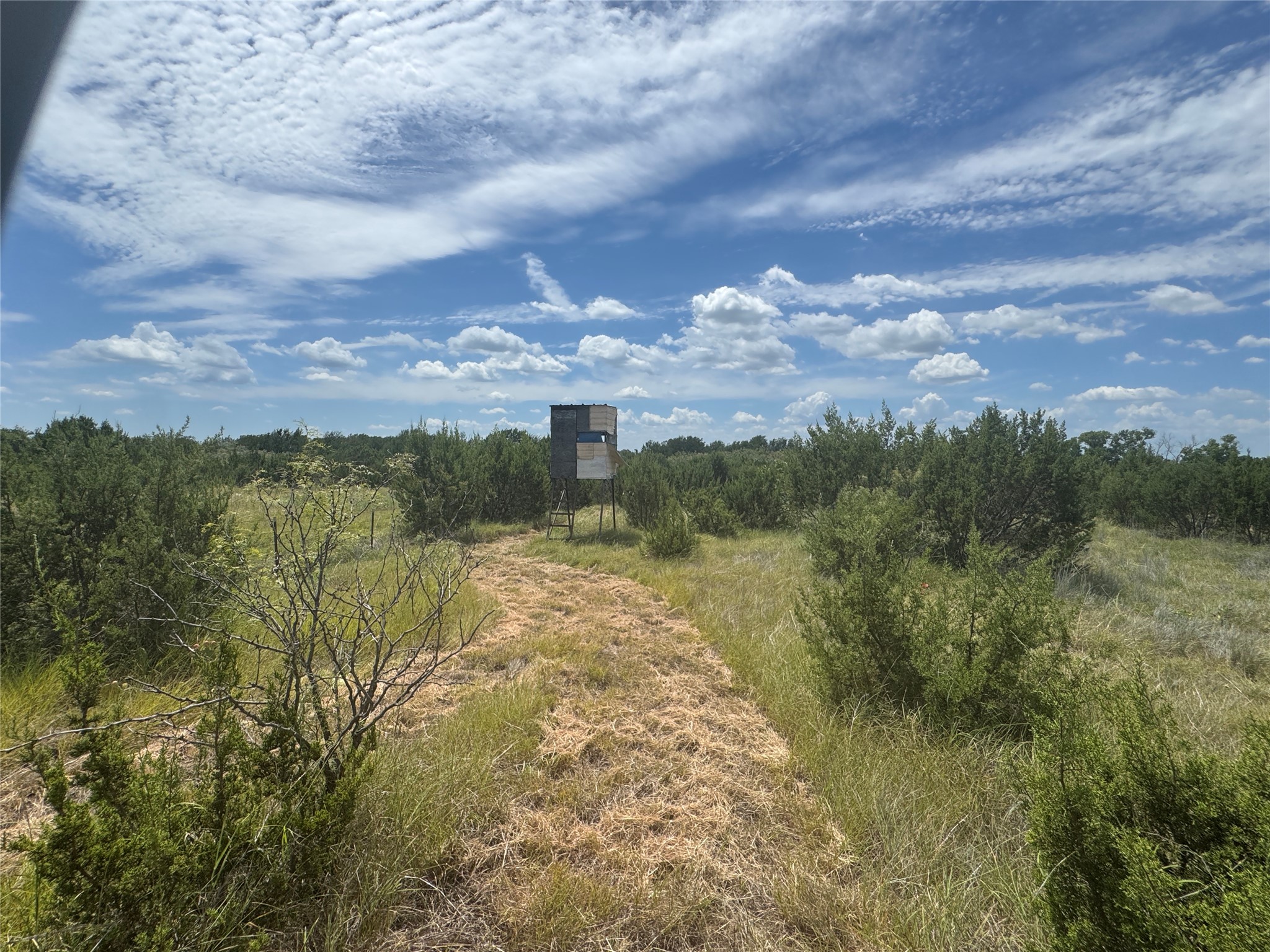 7800 Boswell Court Lipan TX 76462